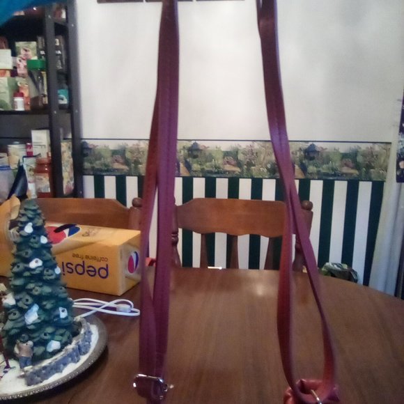 Burnt Orange Pleated Purse - Picture 4 of 13